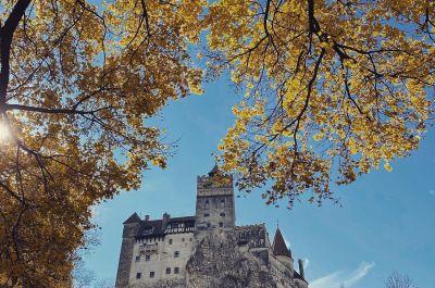 Snapshot of traveller