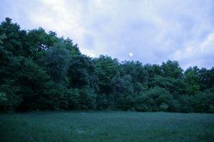 A Round Clearing (Poiana Rotunda) in the middle of the forest!