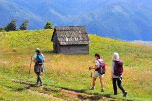 Explore the "Hay-Hut Ecovillage"