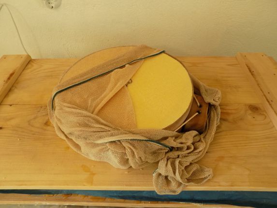 CHeese in mold