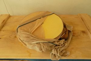 CHeese in mold