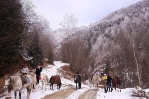 Go for a horse ride in the Romanian hills 