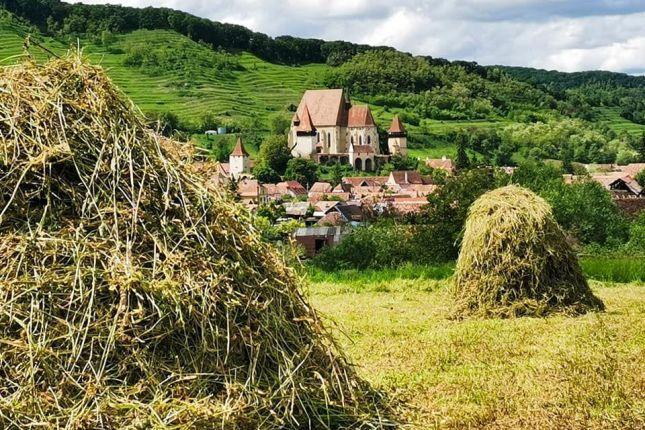 Sighisoara tour from Sibiu