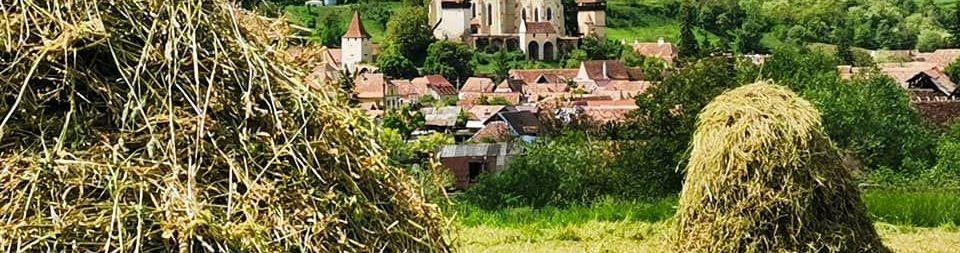 Transylvania Tours and Trips