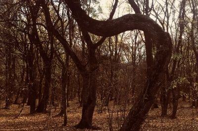 Snapshot of traveller