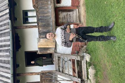 Snapshot of traveller