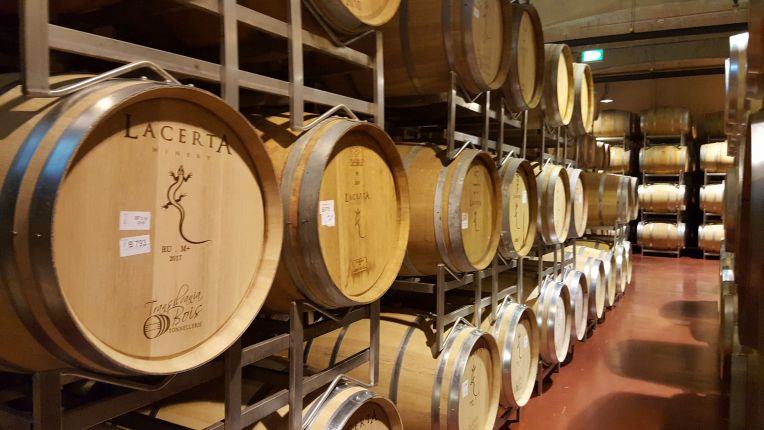 Lacerta wine cellar