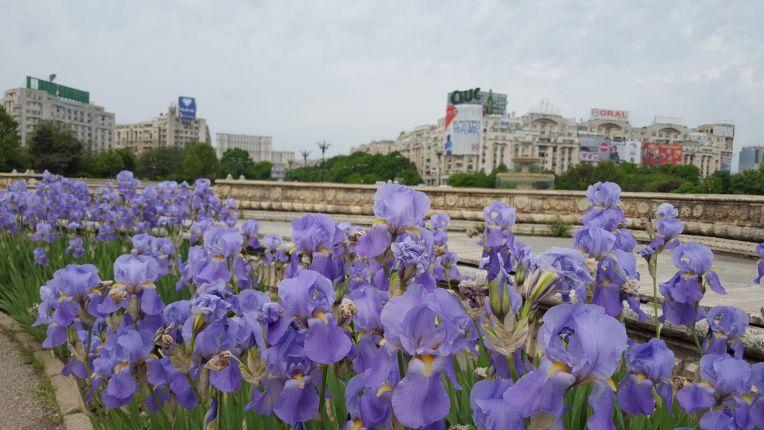 fountains boulevard