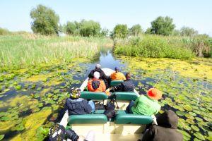 Day 2: Birdwatching in the Danube Delta