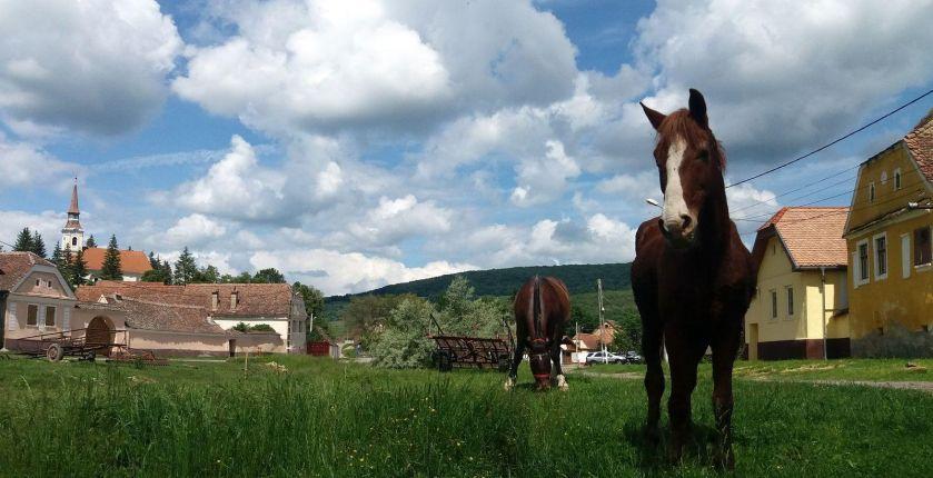 Cluj-Napoca Transylvania tour