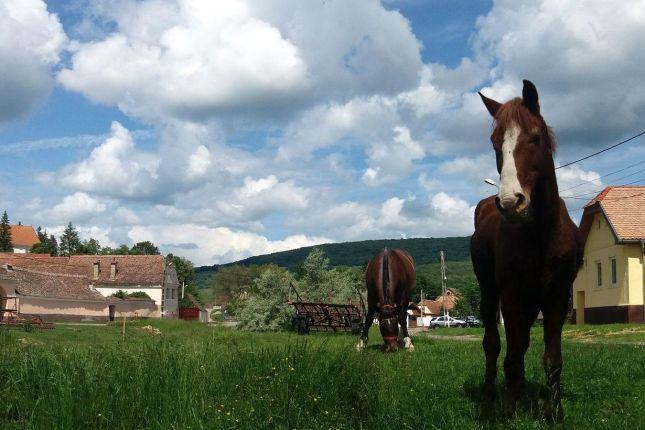 Fortified Villages Tour