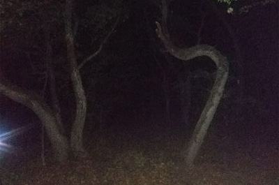 Snapshot of traveller