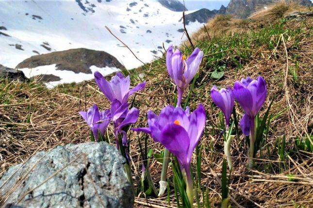 Breathtaking view in any season, in the Fagaras Mountains