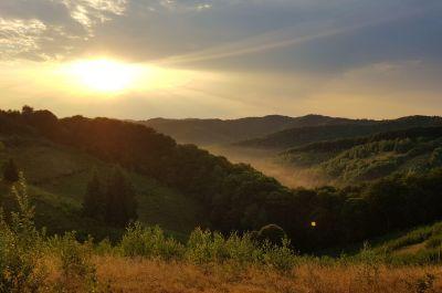 Snapshot of traveller