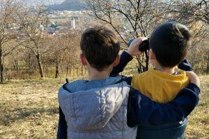 Relaxing walk in the orchards of Sibiel