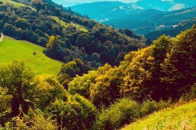 Snapshot of traveller