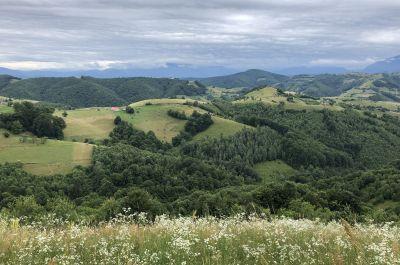 Snapshot of traveller