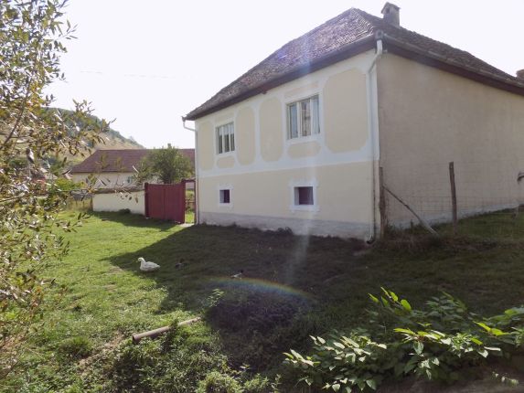 Your charming Transylvanian house