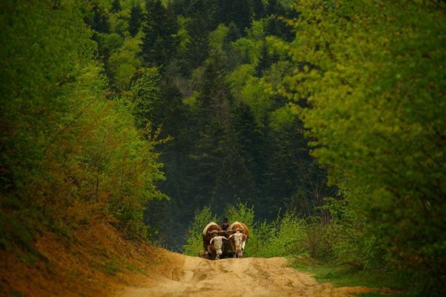 The beautiful Romanian countryside