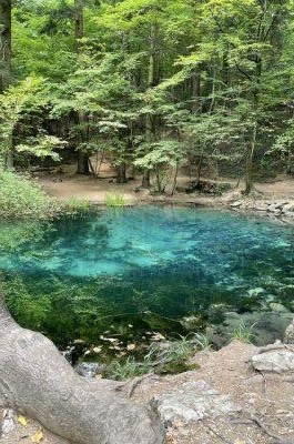 Snapshot of traveller