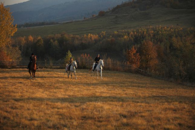 Horse riding guided tour Transylvania, Romania