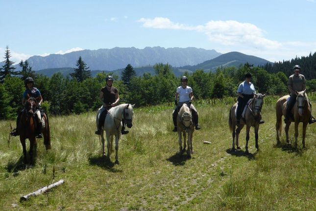 Horse riding in Transylvania