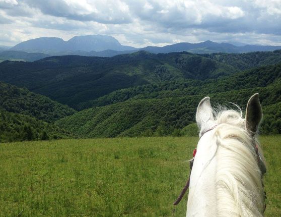 Horse ridding trip in Transylvania, Romania