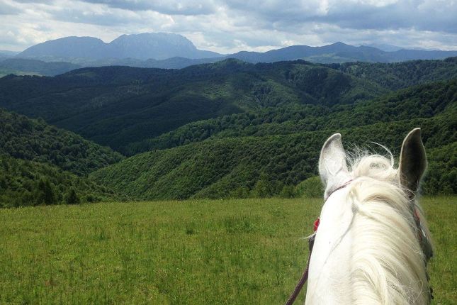 Horse ridding trip in Transylvania, Romania