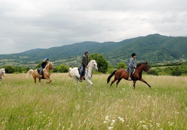 Horse ridding in Transylvania