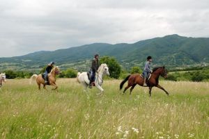 Horse ridding in Transylvania