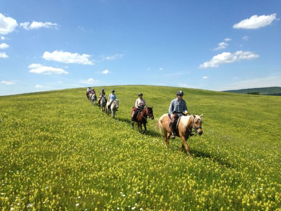 Horse riding in Romania