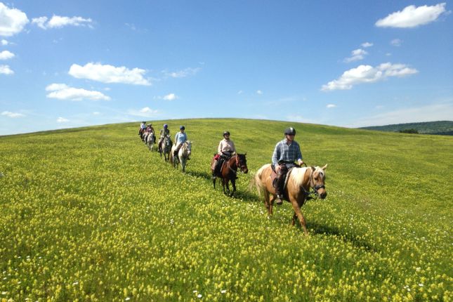 Horse riding in Romania