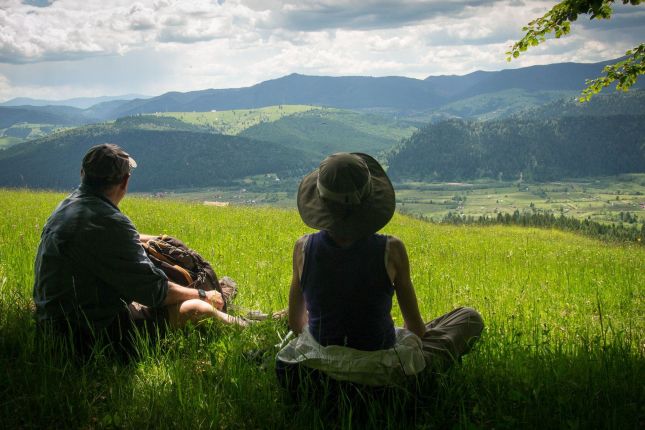 Landscape in Bucovina