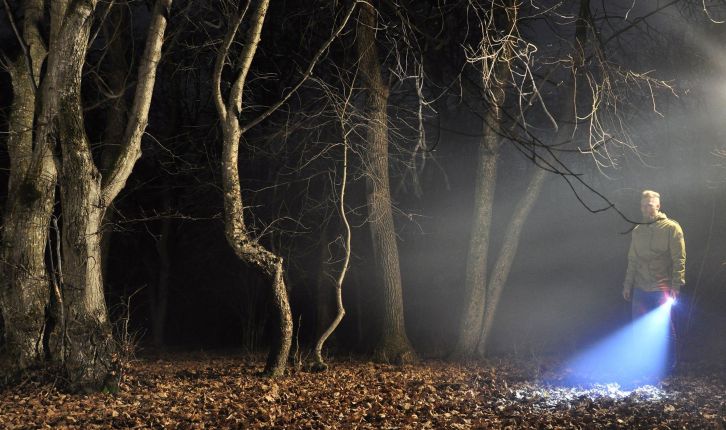 Exploring the darkness of the Hoia-Baciu Forest