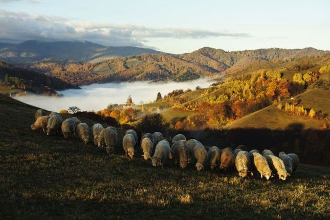 Photography in Romania