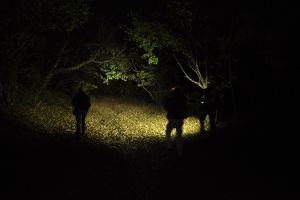 Hoia Baciu Haunted Forest Tour