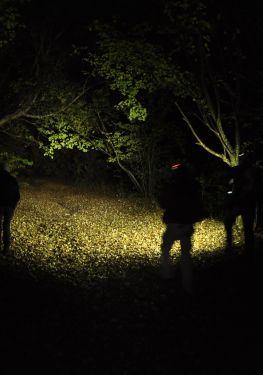 Hoia Baciu Haunted Forest Tour
