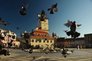 The Old City Center