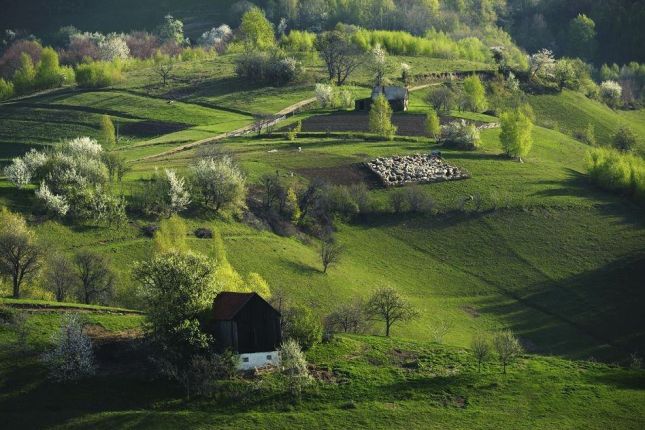 Guided photo tour Romania