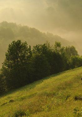 Photo tour in Romania