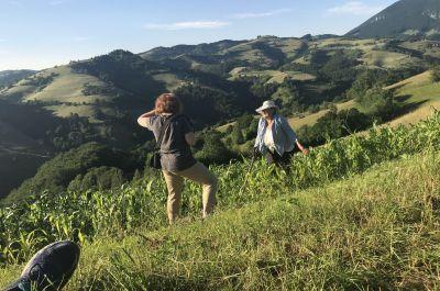 Snapshot of traveller