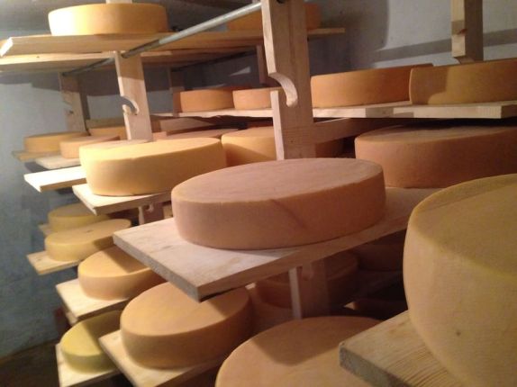 The cheese you'll be making and tasting! 