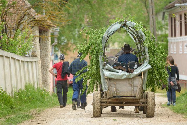 Agrotourism in Transylvania stay