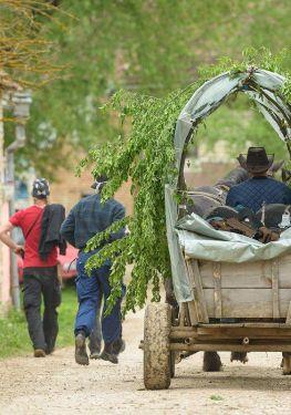 Agrotourism in Transylvania stay