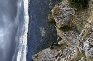 Snapshot of traveller