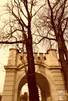Day trip in Timisoara