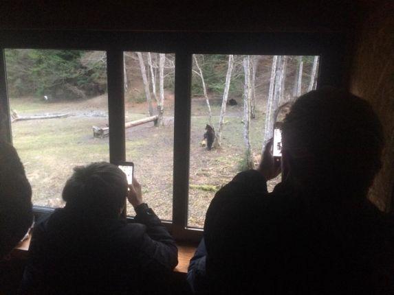 at one of the hides