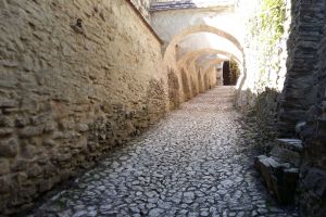 Visiting medieval Sighisoara