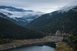 Enjoying the wilderness and virgin forests