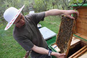 Visit to a local beekeeper and honey tasting!